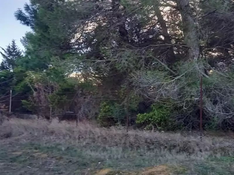 Terrain à bâtir, 722 m² - Moussan (11120)