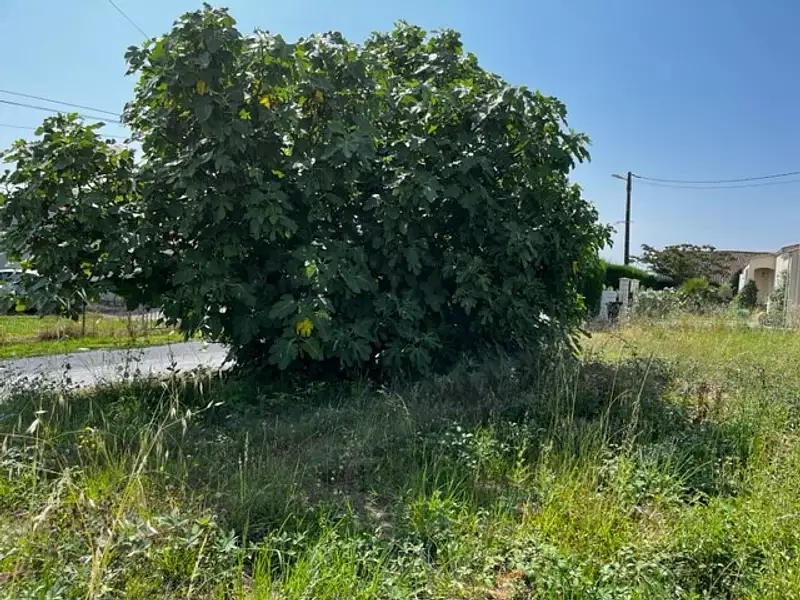 Maison neuve, 73 m² - Saint-Césaire (17770)