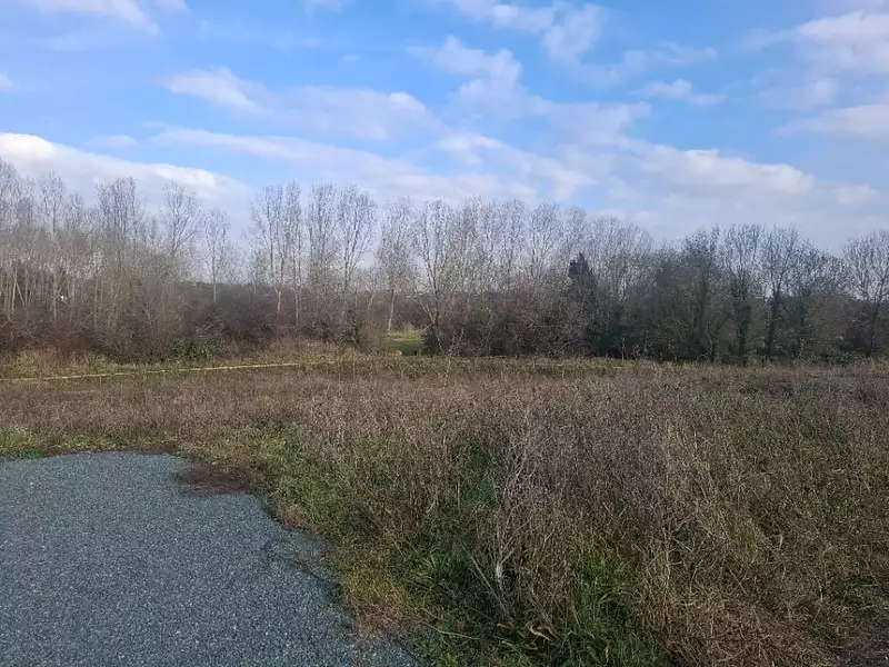 Terrain à bâtir, 530 m² - Vaux-sur-Mer (17640)