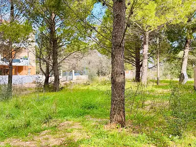 Terrain à bâtir, 512 m²