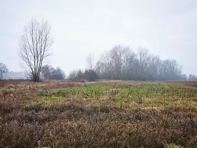 Terrain à bâtir, 735 m²