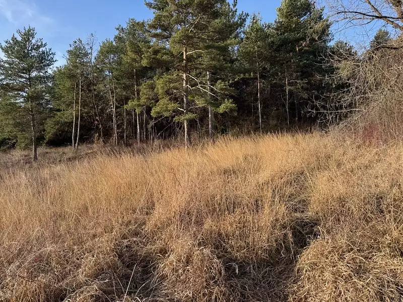 Terrain à bâtir, 703 m² - Tallard (05130)