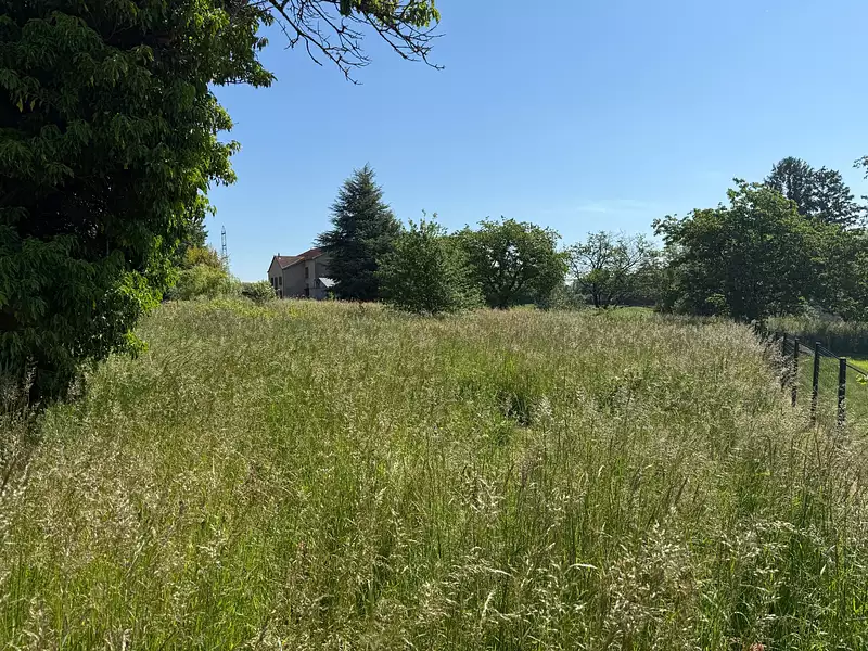 Terrain à bâtir, 3 000 m² - Préty (71290)