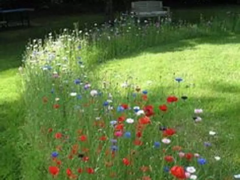 Terrain à bâtir, 741 m² - Savonnières (37510)