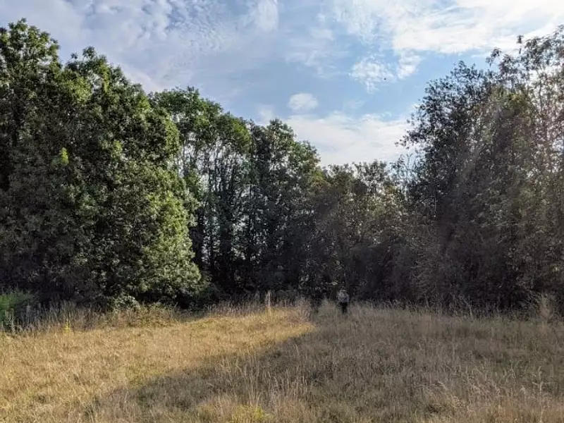 Terrain à bâtir, 1 700 m² - Haussy (59294)