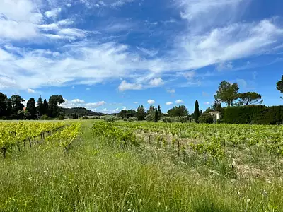 Maison neuve, 85 m²