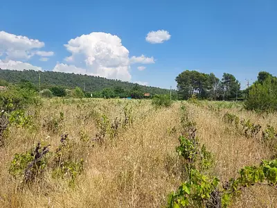 Terrain à bâtir, 1 600 m²