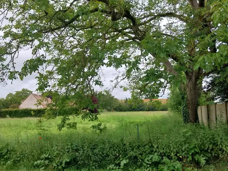 Terrain à bâtir, 488 m² - Andrésy (78570)