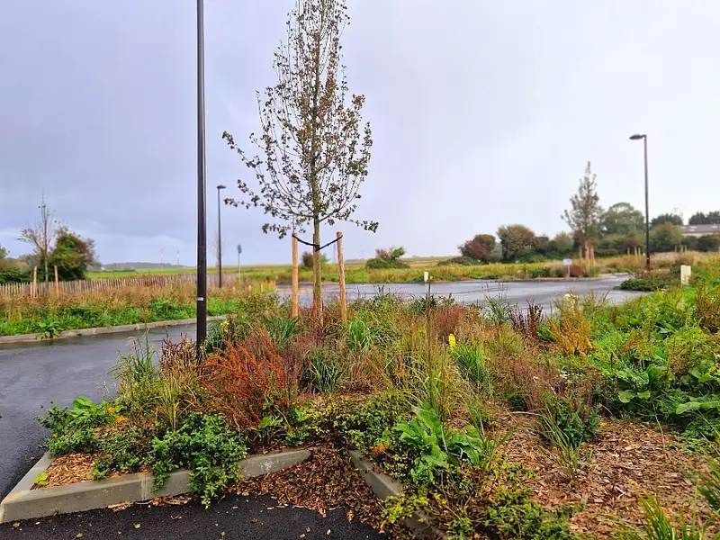 Terrain à bâtir, 398 m² - Saint-Jouin-Bruneval (76280)