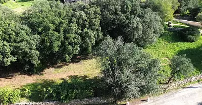 Terrain à bâtir, 850 m²