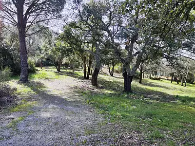 Maison neuve, 110 m²