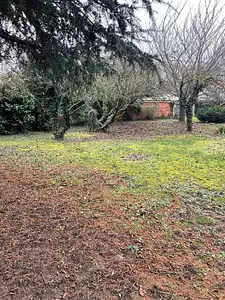 Maison neuve, 90 m²