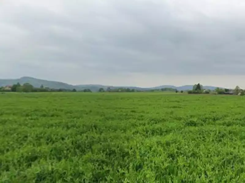 Maison neuve, 90 m² - Mazères-sur-Salat (31260)