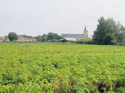 Maison neuve, 105 m²