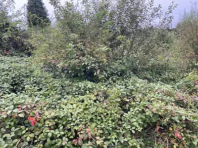 Terrain à bâtir, 1 000 m²