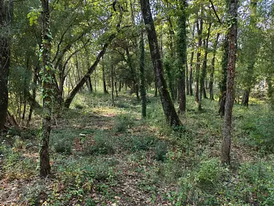 Terrain à bâtir, 717 m²