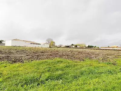 Maison neuve, 90 m²