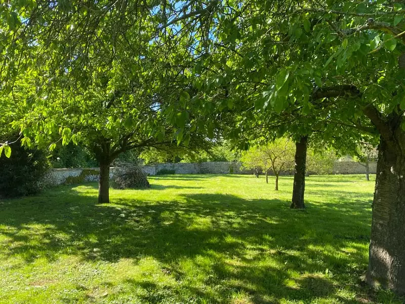 Maison neuve, 105 m² - Maule (78580)