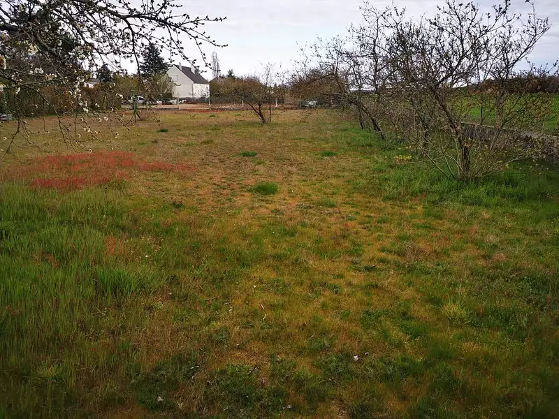 Terrain à bâtir, 600 m² - Beaulieu-lès-Loches (37600)