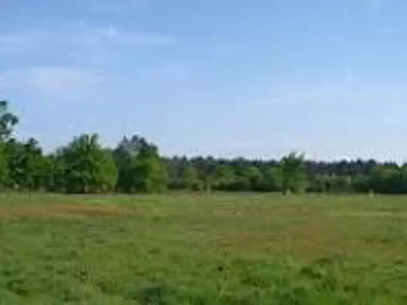 Maison neuve, 151 m² - Cholet (49300)