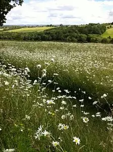 Maison neuve, 105 m²