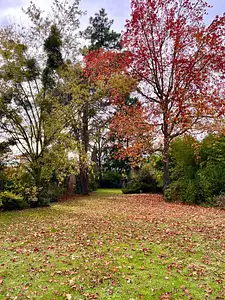 Terrain à bâtir, 424 m²