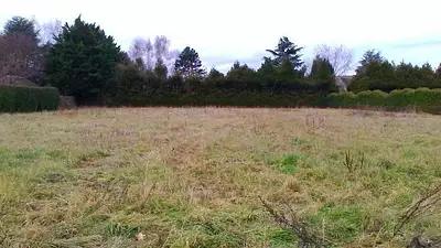 Terrain à bâtir, 3 299 m²