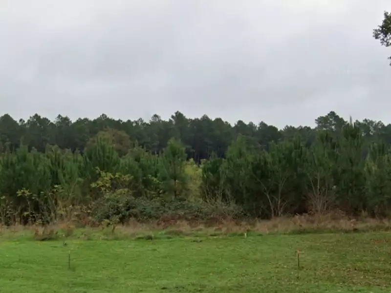 Terrain à bâtir, 516 m² - Préchac (33730)