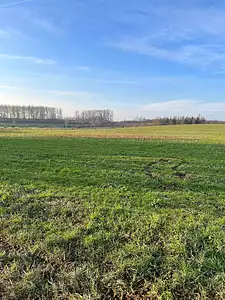 Maison neuve, 90 m²