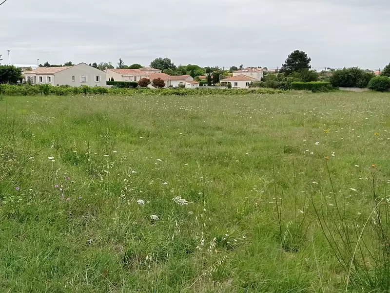 Terrain à bâtir, 255 m² - Meschers-sur-Gironde (17132)