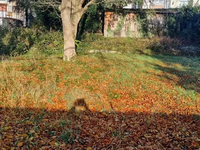 Terrain à bâtir, 319 m² - Epinay-sur-Orge (91360)