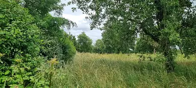 Terrain à bâtir, 516 m²