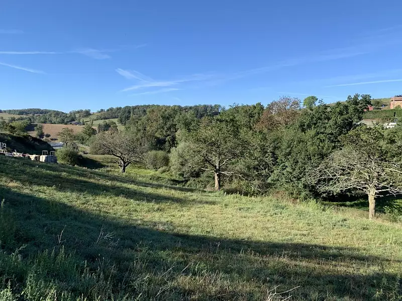 Terrain à bâtir, 751 m² - Bessenay (69690)