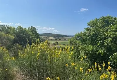 Terrain à bâtir, 1 280 m²