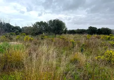 Terrain à bâtir, 490 m²