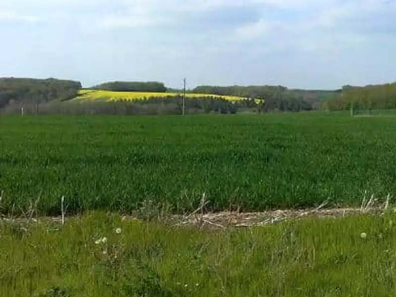 Terrain à bâtir, 492 m² - Til-Châtel (21120)