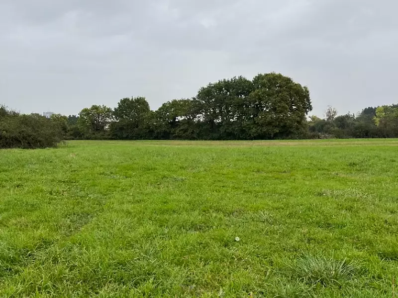 Terrain à bâtir, 564 m² - Alençon (61000)