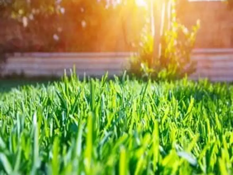 Terrain à bâtir, 1 600 m² - Machecoul (44270)