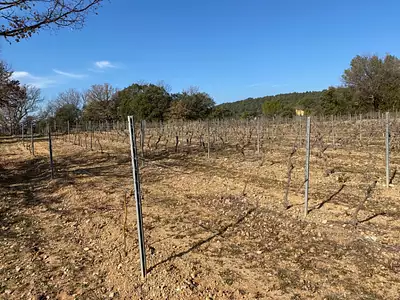 Maison neuve, 140 m²