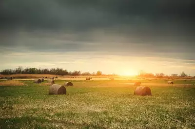 Maison neuve, 98 m²