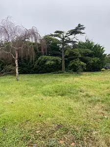 Terrain à bâtir, 622 m²