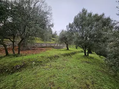 Terrain à bâtir, 2 151 m²