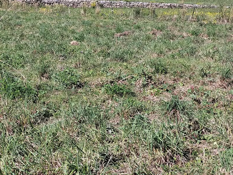 Terrain à bâtir, 635 m² - Toulouges (66350)