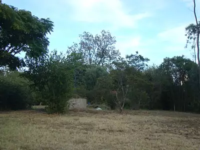 Terrain à bâtir, 490 m²