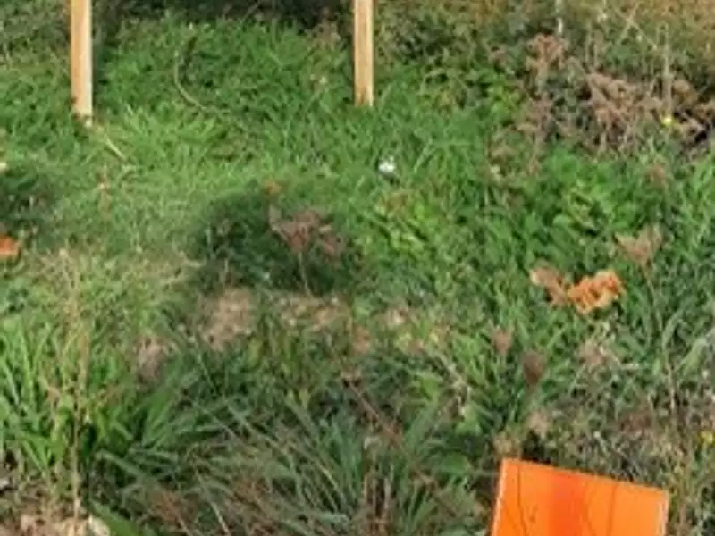 Terrain à bâtir, 805 m² - La Roche-sur-Yon (85000)