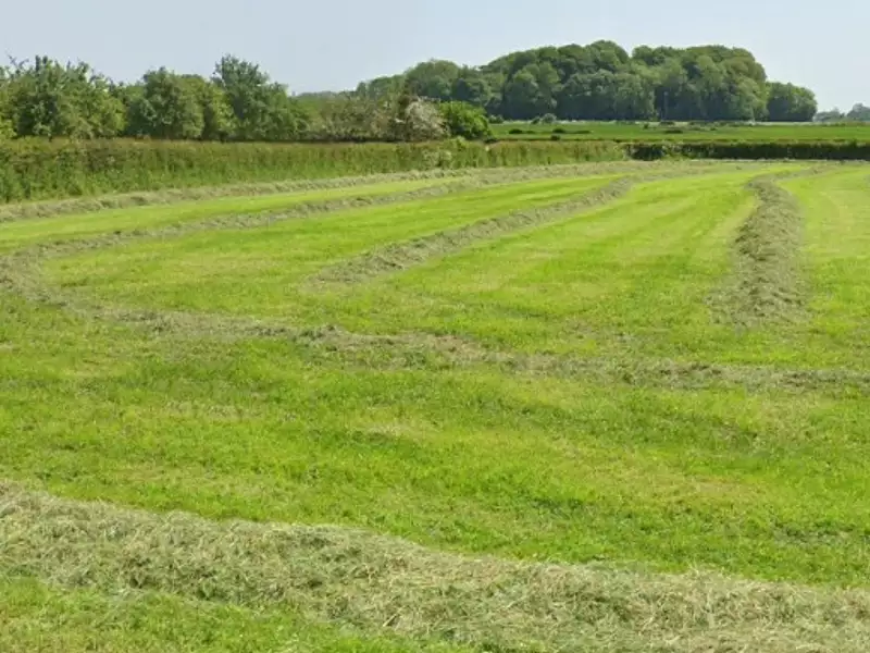 Terrain à bâtir, 7 214 m² - Fresles (76270)