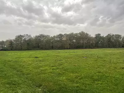 Terrain à bâtir, 1 300 m²