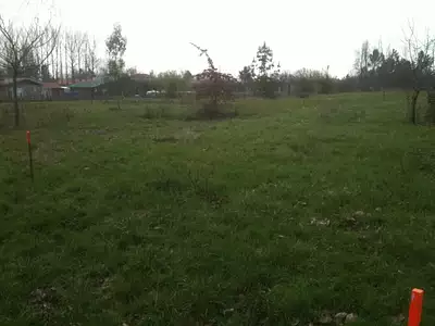 Terrain à bâtir, 800 m²