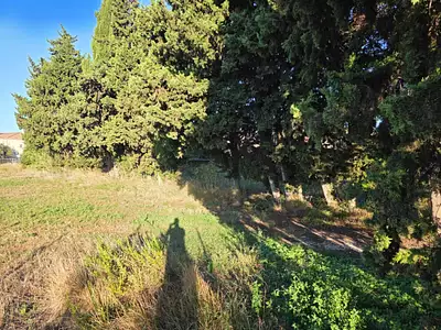 Maison neuve, 76 m²