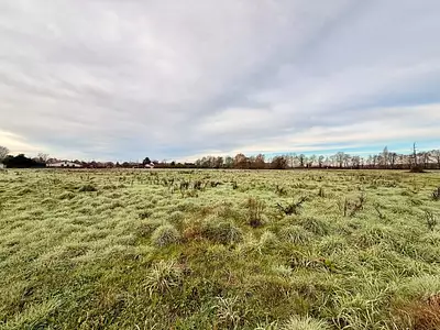 Terrain à bâtir, 1 250 m²